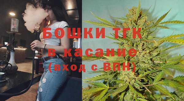 прущие грибы Магас