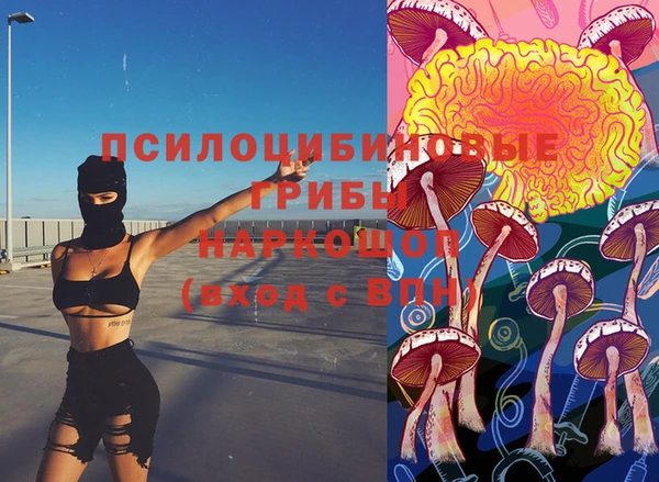 ПСИЛОЦИБИНОВЫЕ ГРИБЫ Магас