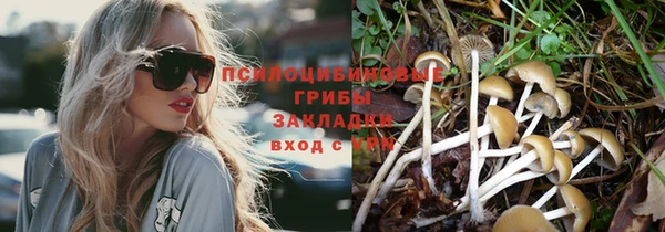 не бодяженный Артём