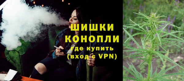 ПСИЛОЦИБИНОВЫЕ ГРИБЫ Магас