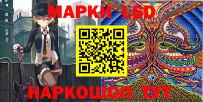 эйфоретик Кимры
