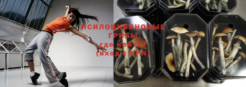 MEGA как зайти  Усть-Джегута  Псилоцибиновые грибы ЛСД  закладка 