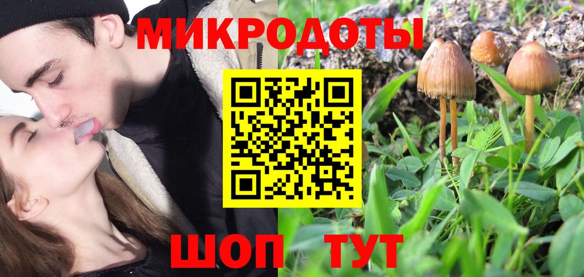где продают   Псилоцибиновые грибы мухоморы  Вход с VPN  Усть-Джегута  Галлюциногенные грибы Psilocybine cubensis 